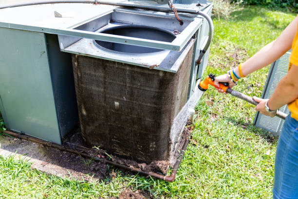 Best Affordable Duct Cleaning Services  in Fowlerville, MI